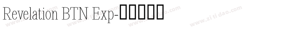 Revelation BTN Exp字体转换